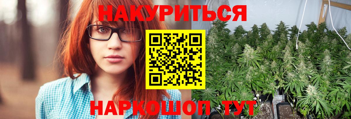 Марихуана индика  Канабис Ganja  Марихуана марихуана  Вход с VPN  Королёв 